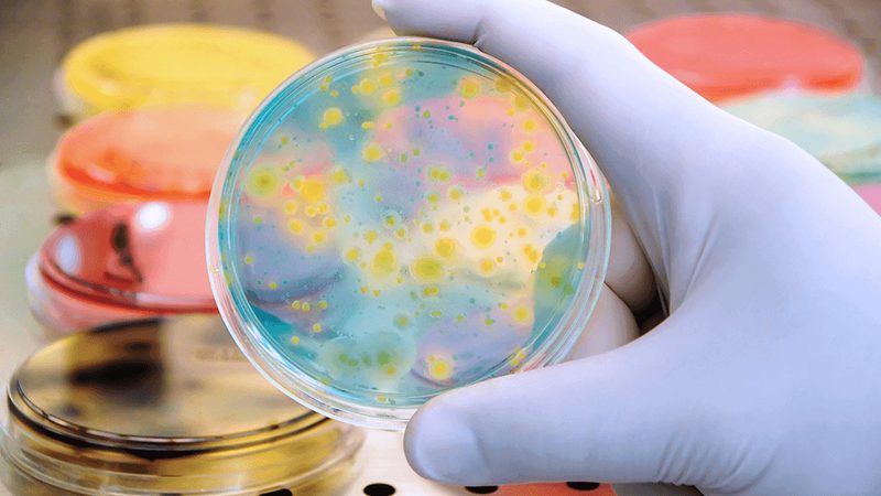 生物创新药CDMO生产厂家：揭秘其背后的技术支撑与行业趋势