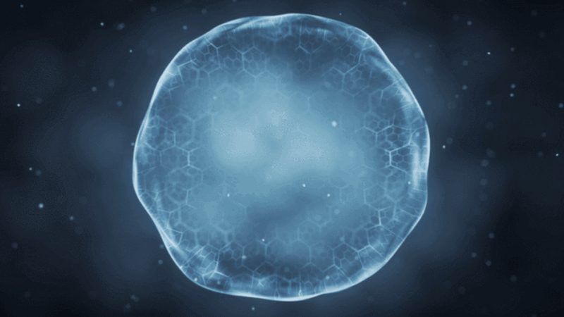 生物科技公司加盟，费用构成揭秘**