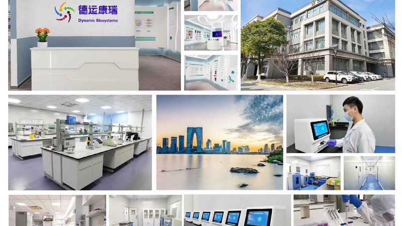 基因编辑：开启精准农业新时代