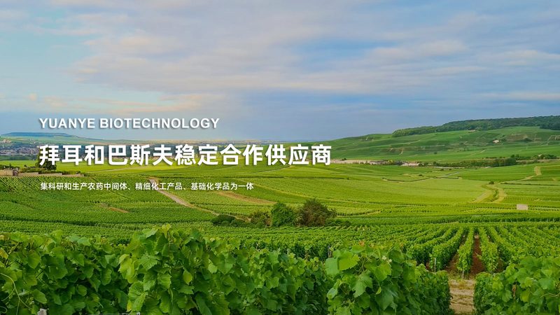 肿瘤基因检测套餐：揭秘其背后的技术奥秘**