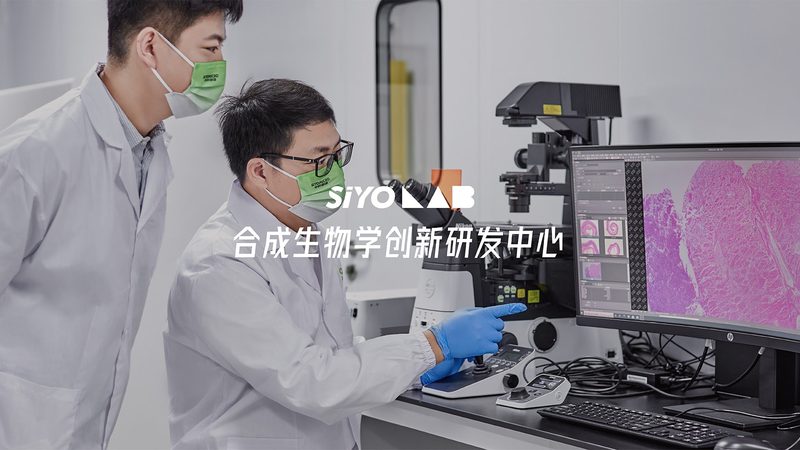 耐高温酶：揭秘其背后的技术原理与应用前景**