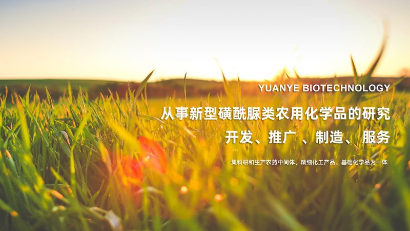 CDMO项目如何选择合作方