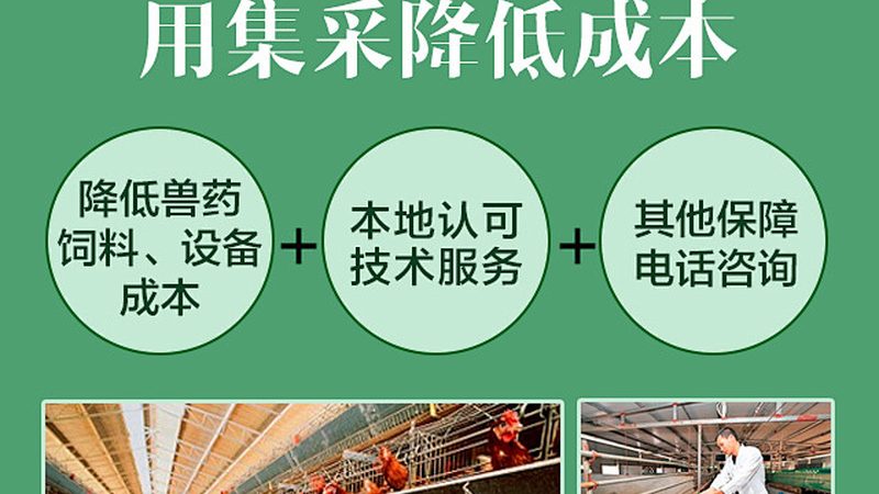 生物医药研发，上海哪家强？揭秘研发公司排名背后的秘密**