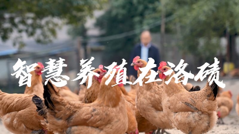 国产微量移液器：如何挑选适合的科研利器**