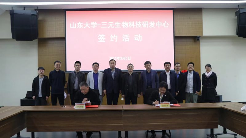 引物合成纯度对比：关键因素与选择策略**