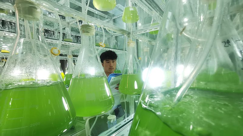 药物注册合规性是药物上市的关键。在选择CDMO平台时，要确保其具备以下条件：